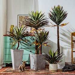 Large Artificial Green Plant Agave Dragon's Blood Tree Millennium Tree Plant Fake Tree Living Room Potted Plant Landscaping Decoration Ornament