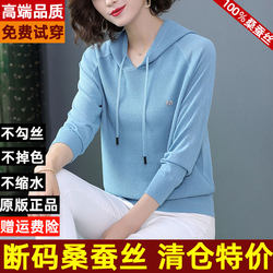 Silk Hooded Sweatshirt for Women, 2025 Spring and Autumn New Style, Loose and Stylish, Thin Silk Knit Top for Women