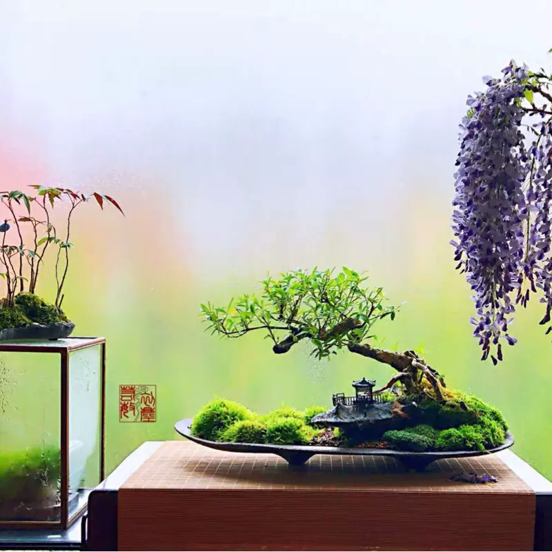 紫砂苔藓花盆景盆微景观生态瓶插花剑山日式陶瓷禅意花道长10-80-Taobao