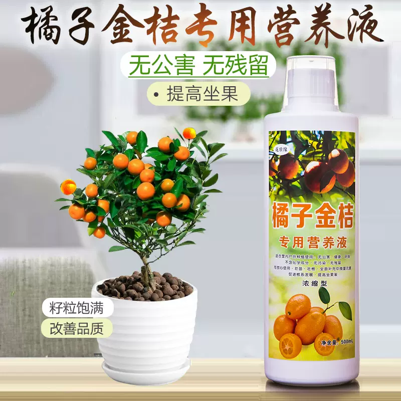 橘子金桔肥柠檬专用肥料营养液体肥料有机柠檬柑桔柚脐橙