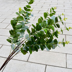 Single Artificial Three-Dimensional Eucalyptus Leaf Long Stem Fake Branch Green Money Leaf Wedding Decoration Plastic Green Plant