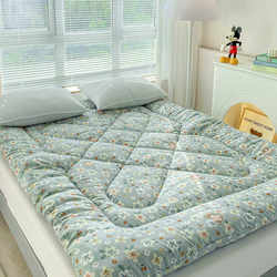 Spring, Autumn, and Winter Mattress Pads, Bed Mattress Covers, Soft Cushions for Home Use, Bedroom Pads, Quilt Pads, Bed Covers