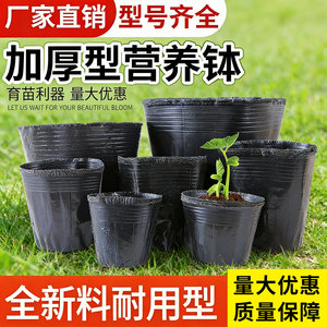 
Seedling Cup Nutrition Bowl Planting Plug Tray Plastic Nutrition Cup Seedling Bag Disposable Flower Pot Nutrition Cup Seedling Basin