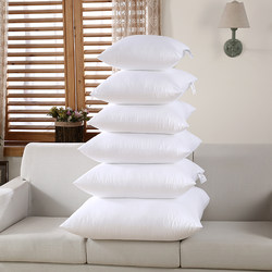 Cotton Pillow Core Sofa Cushion Feather Velvet Pillow Insert 45X45 Student Bed Headrest 40 50 60 70
