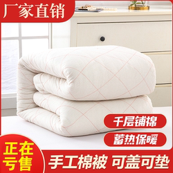 Cotton Quilt, Student Dormitory Mattress, Warm Quilt, Quilt Core, Spring and Autumn Single Mattress, Double Winter Quilt, Thickened Mattress