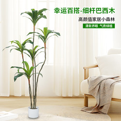 Artificial Green Plants, Thin-Stemmed Brazilian Wood, Indoor Decoration, Green Plants, Window Display, Large Floor-Standing Fake Green Plant Potted Plants