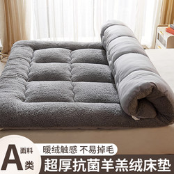 Class a Lamb's Wool Mattress Soft Pad for Student Dormitory Single Bed, Milk Velvet Mattress, Thickened Blanket, Flannel, Machine Washable