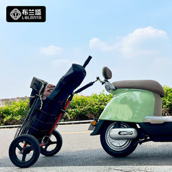Bicycle Trailer for Grocery Shopping, Camping, Portable Rear-Mounted Bike Trailer, Mountain Bike Trailer, Camping Trailer