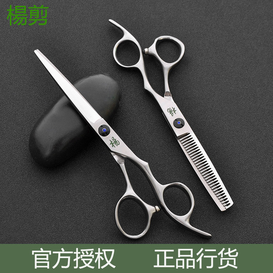 Yang Jian プロフェッショナルヘアシザー - 440C ステンレススチール