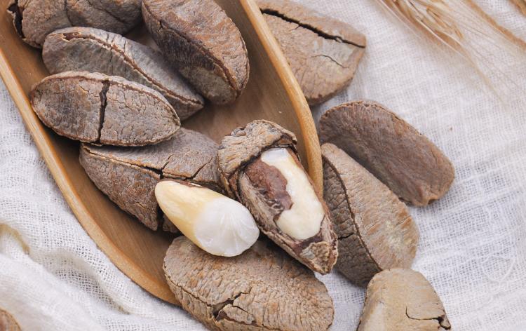 “坚果之王”鲍鱼果,松脆香酥(图6) “坚果之王”鲍鱼果,松脆香酥(图6)