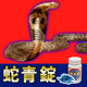 Japan's original imported snake -green ingot adult growth rate of upper amplitude Boqi activity congestion, uprising the sponge body