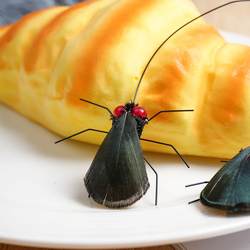 【Ten Cats, Nine Crazy】Realistic Insect Teaser Stick Replacement Heads Cat Toy Self-Entertainment Fly Spider Beetle Small Flying Insect