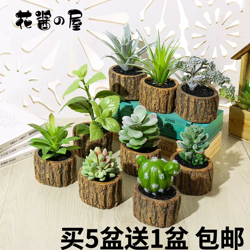 北欧客厅仿真多肉植物仙人球小盆栽假花室内创意装饰绿植物草