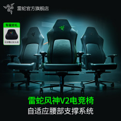 Razer V2 Gaming Chair Ergonomic Comfort Office Leisure Home Computer Game Chair
