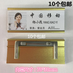 3*7cm Aluminum Alloy Pin with Replaceable School Id Badge, Employee Badge, Gold Flat Badge Card, 10 Pieces