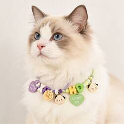 DIY Dog Collar Material Kit Handmade Cat Collar Non-Tightening Anti-Loss Accessories Adjustable Pet Necklace