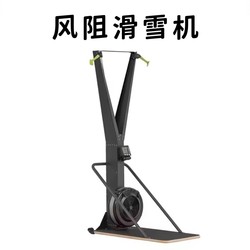 Fitness Wind Resistance Ski Machine Gym Commercial Home Indoor Silent Simulated Rowing Machine Rowing Resistance Trainer Aerobic