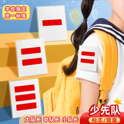 Team Leader with Two Stripes, Squad Leader with One Stripe, Primary School Student, School Committee Member, Class Leader, Duty Student, Armband, Young Pioneers