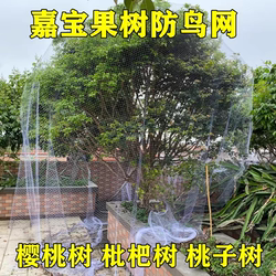 Specialized Bird-Proof Net for Fruit Trees, Suitable for Cherries, Grapes, and Jujubes, Made of High-Quality Reusable Nylon Pa6 That Does Not Block Sunlight