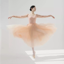 Ballet Gymnastics Suit for Adults, One-Piece Basic Training Suit, Chinese Dance Practice Suit, Dance Performance Suit, Mesh Tutu Skirt