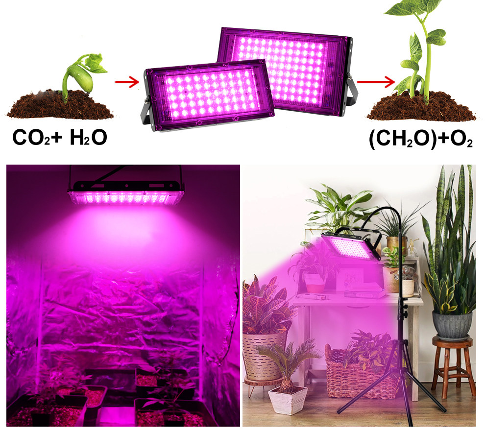 Photo inspiration: Visual Reference: Guoliang 100 300W Led Plant Grow Light