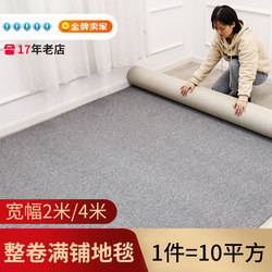Carpet Floor Mat, Large Area, Commercial Office, Full Floor, Cement Floor, Direct Bedroom Studio