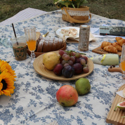 Retro ins style Korean blue flower moisture-proof picnic mat