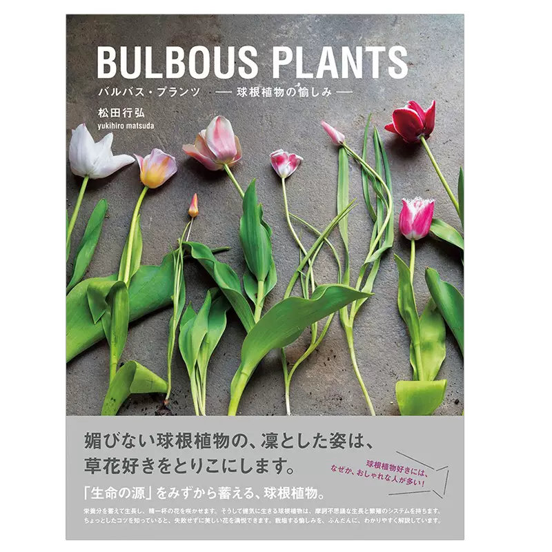 Pie出版 球根植物种植方法手工园艺水仙百合种植图书bulbous Plants バルバス プランツ 球根植物の愉しみ