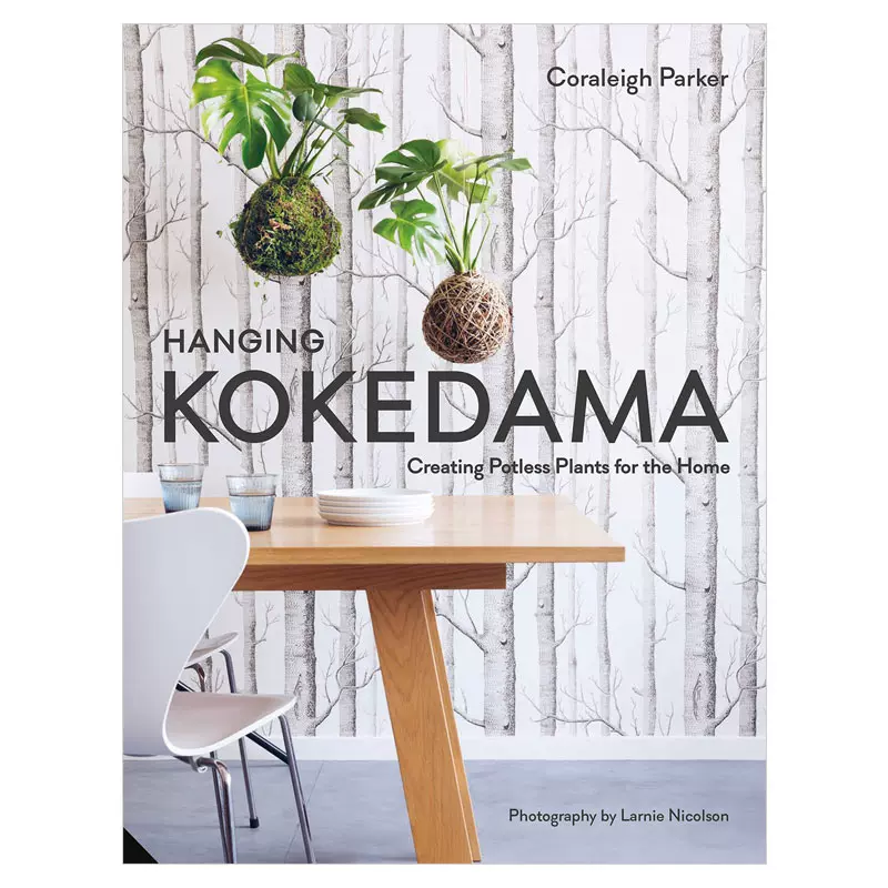 Hanging Kokedama 挂式苔玉 给家居的无盆植物室内盆栽