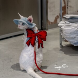 
GINGERAIN Sailor Moon Devon Cat Denim Harness with Traction Rope for Cat Walking Artifact for Hairless Cats