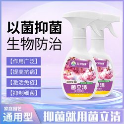 Plant fungicide specially used for black spots on leaf tips