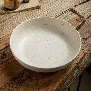 non-ironing ceramic plate Latest Best Selling Praise 