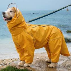 Dog Raincoat for Medium and Large Dogs, Golden Retriever, Samoyed, Alaskan Malamute, Four-Legged, Full Coverage, Hooded, Tail-Covering Pet Rain Poncho