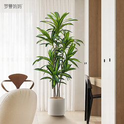 Simulated Green Plants, Brazilian Wood Potted Plants, Indoor Ornaments, Bionic Floor-Standing Bonsai, High-End Light Luxury Fake Green Plant Decoration
