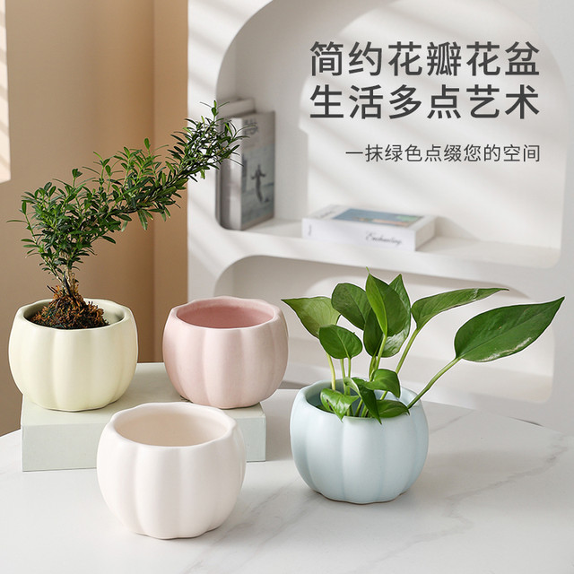Nordic style creative colorful succulent pots ceramic pumpkin ins style flower pots home gardening green plants bedroom desktop