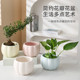 Nordic style creative colorful succulent pots ceramic pumpkin ins style flower pots home gardening green plants bedroom desktop