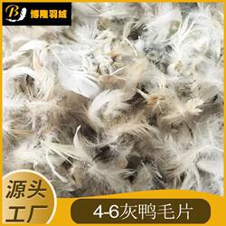 Washed 4-6 Grade Gray Duck down Flakes for Sofa Pillow Core and Mattress Manufacturer, Clean and Odorless, Direct Sales Feather Velvet