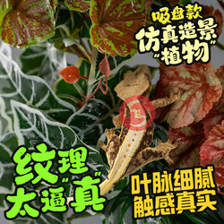 Suction cup simulation plant climbing pet box landscaping decoration