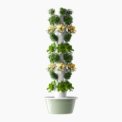 Vertical hydroponic tower, home smart vegetable cultivation, soilless cultivation vegetable grower, aerosol machine, column pipe
