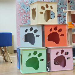 Outdoor indoor cat kennel wooden dog house cat kennel pet kennel pet kennel cat house delivery room free mat