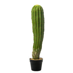 Cactus simulation cactus fake Nordic column ball measuring ruler tropical green plants indoor window Moroccan landscaping
