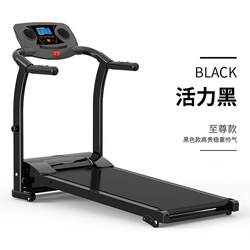 Treadmill for Home Use, Small Indoor Foldable Model for Women, Simple Electric Mini Ultra-Quiet Multifunctional Gym-Specific