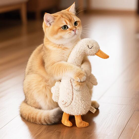 
Cat plush toys, comfort and companion dolls, kitten self-pleasure, cat sticks, play and sound dog supplies