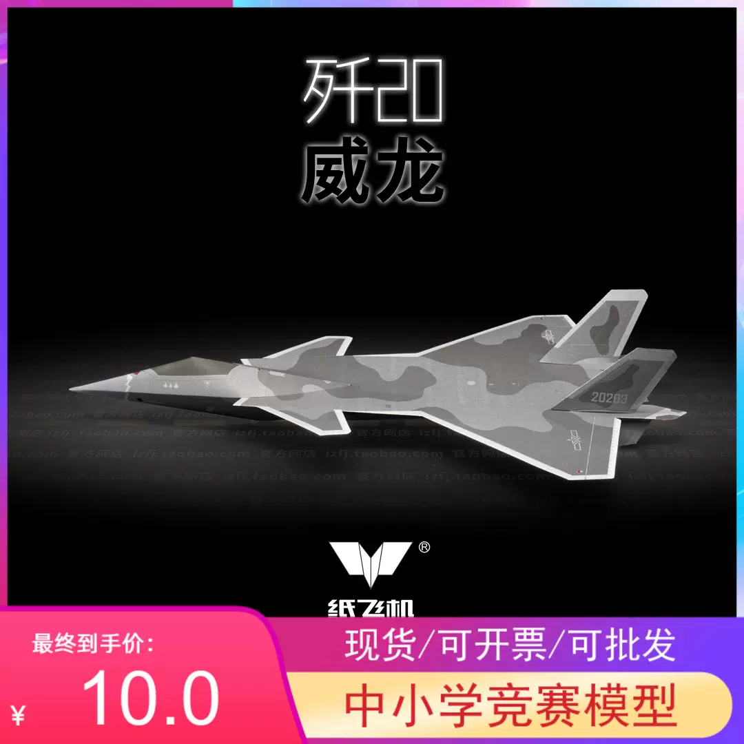 包邮新品歼20威龙第五代隐形战斗机刘冬纸飞机两架装中小学纸模-Taobao