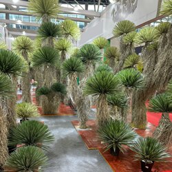 Artificial Soft Rubber Scarecrow Dragon Blood Tree Landscaping Plant Potted Ornament Green Plant Window Decoration Soft Decoration Model Room