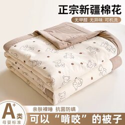 Xinjiang Pure Cotton Quilt Core Summer Cooling Quilt Air Conditioning Quilt Spring and Autumn Quilt All-Cotton Machine Washable Summer All-Cotton Quilt