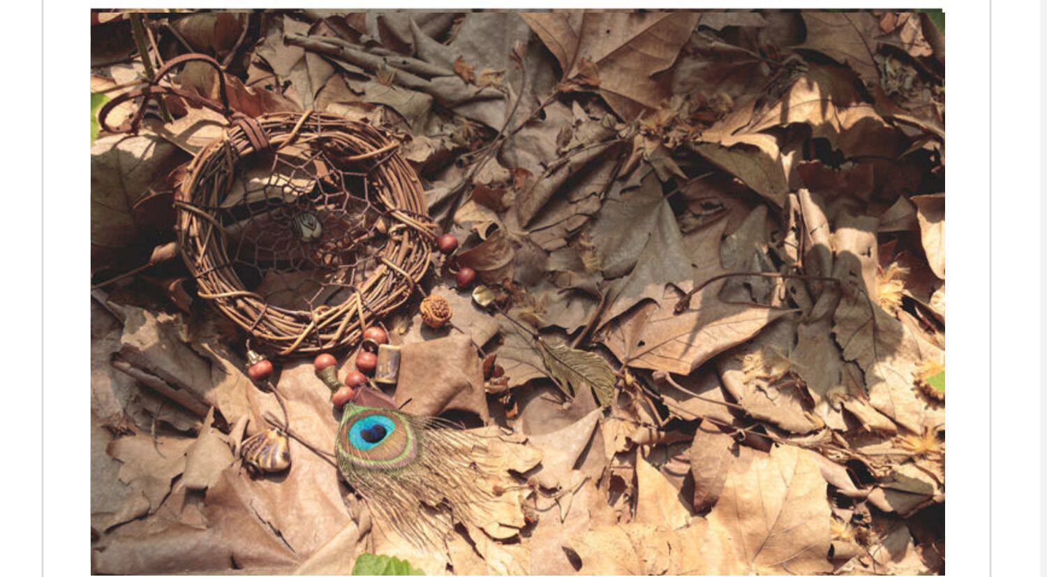 Acchiappasogni Vintage Realizzato A Mano Con Rami Di Vite In Sitle