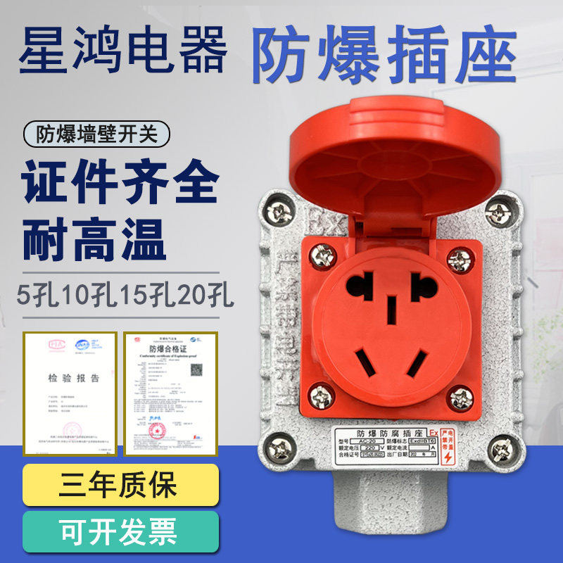 Explosion-Proof Socket 220V Wall Switch 10A 16A Exposed and Concealed ...