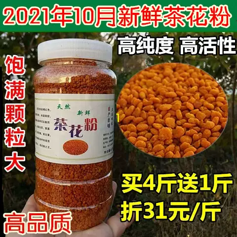 21年10月新鲜茶花粉天然食用蜂花粉高活性未破壁