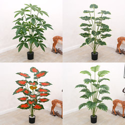 Simulated turtle back potted plant fake flowers plastic artificial green plants indoor floor bonsai desktop small potted plant home decoration